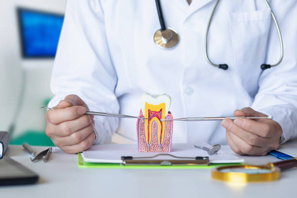 Best Tooth Infection Emergency Dentist  in Beattyville, KY